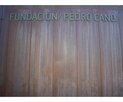 Fundación Pedro Cano