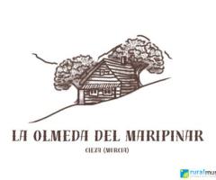 LA OLMEDA DEL MARIPINAR