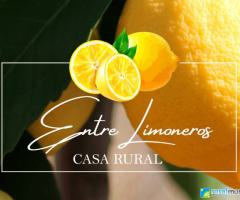 ENTRE LIMONEROS