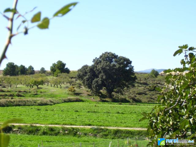 FINCA LAS OICAS