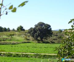 FINCA LAS OICAS