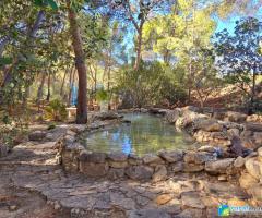 CASAS RURALES LA NAVELA
