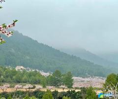 ESPACIO DE VIDA COLIBRÍ