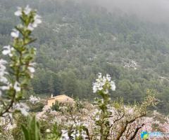 ESPACIO DE VIDA COLIBRÍ