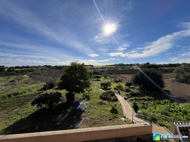 ECO ESPACIO CAMALEÓN VERDE