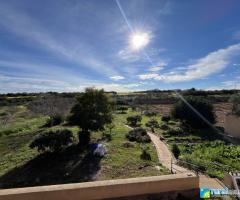 ECO ESPACIO CAMALEÓN VERDE