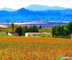 FINCA LA FLORACIÓN