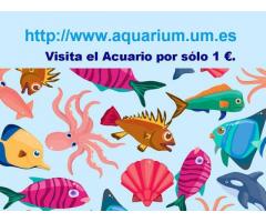 Aquarium de Murcia