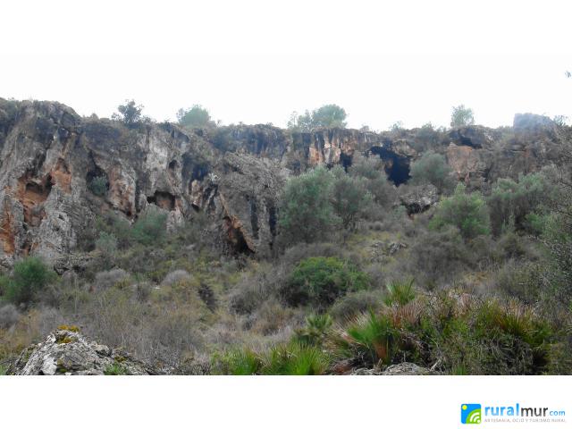 Cuevas del Buitre y Finca Naveta 