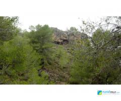Cuevas del Buitre y Finca Naveta 