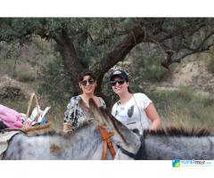 BURRAFTING: Senderismo con burros y descenso/rafting en el Valle de Ricote